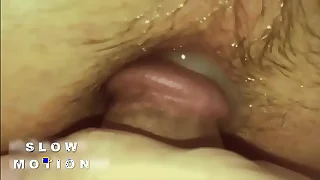 2274 bareback porn videos